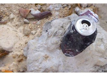 Recuerdos del futuro