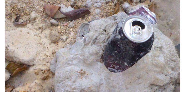 Recuerdos del futuro