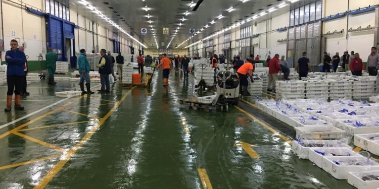 A CIG mostra a súa oposición á privatización da lonxa de Vigo