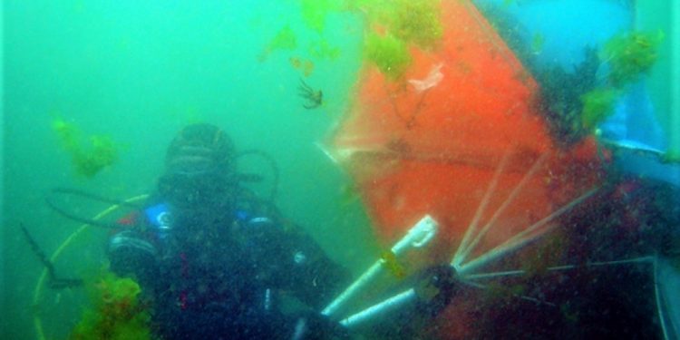 Sombrillas entre la basura que arrojan los visitantes a los fondos marinos de Cíes