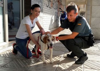 La Guardia Civil investiga al dueño de un perro hallado agonizante bajo piedras
