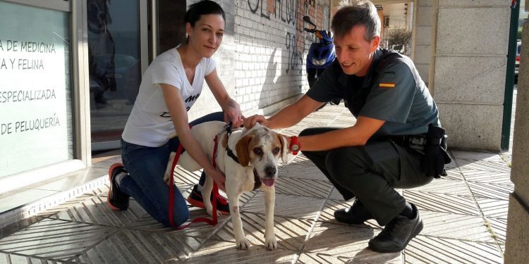 La Guardia Civil investiga al dueño de un perro hallado agonizante bajo piedras