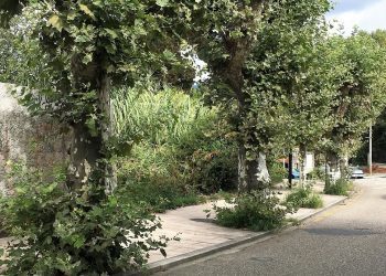 180917 Zonas Verdes 1