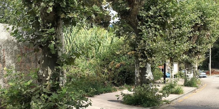 180917 Zonas Verdes 1