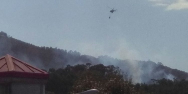 Declarado un incendio forestal en la parroquia viguesa de Coruxo