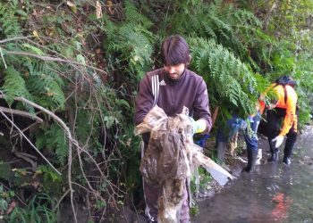 A asociación Lazoiro organiza un ano máis a limpeza do río Tea en Salvaterra