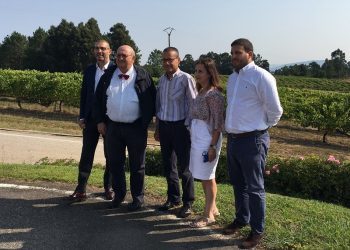 Desarrollan un proceso pionero para potenciar las propiedades biosaludables del albariño