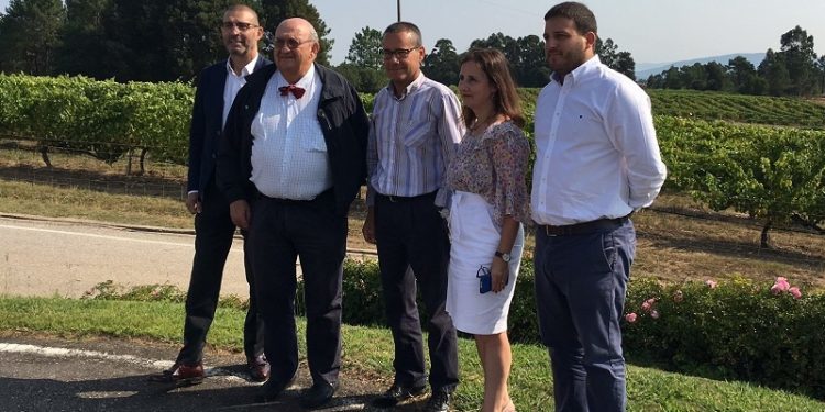 Desarrollan un proceso pionero para potenciar las propiedades biosaludables del albariño