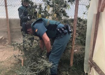 Localizan en una casa de Ponteareas una plantación de marihuana que era visible desde la calle