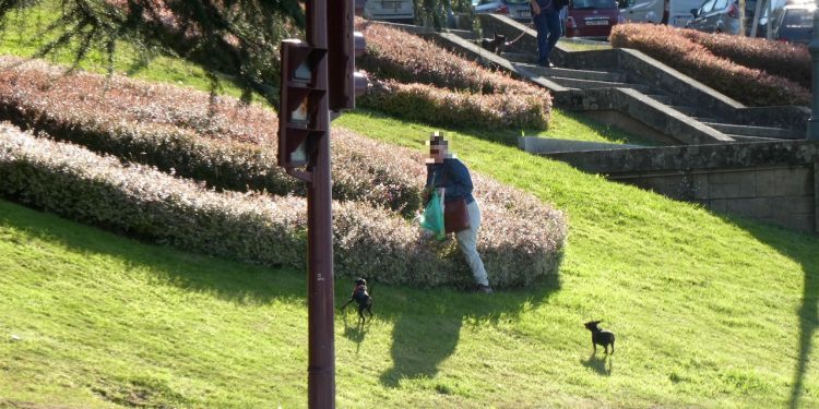 Sin respeto por las flores