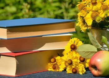 Ventajas de la autoedición, ¿realmente funciona?