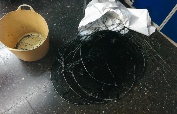 Sorprenden a cuatro vecinos de O Porriño pescando de forma furtiva en Toralla