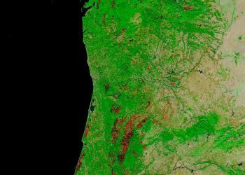 Las cicatrices del fuego en la comarca de Vigo, vistas desde el espacio