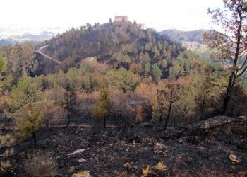 Así está el cinturón verde de Vigo tras teñirse de negro