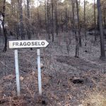 171018 Incendios Fragoselo