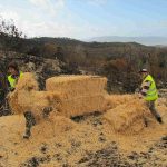 171021 Monte Alba Paja_05