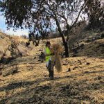 171021 Monte Alba Paja_11
