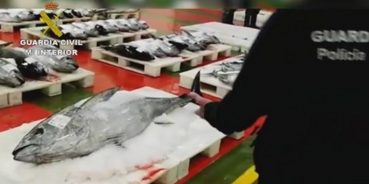 La operación en O Berbés se salda con la incautación de 300 kilos de pescado ilegal