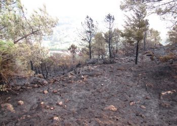 Una anciana de Mos, segunda acusada en Galicia por la ola de incendios