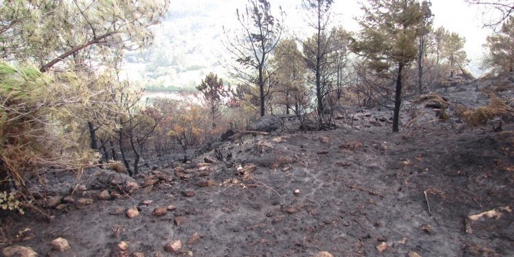 Una anciana de Mos, segunda acusada en Galicia por la ola de incendios
