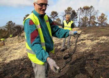 Segundo objetivo en los montes de Vigo: reparto de comida para animales en peligro