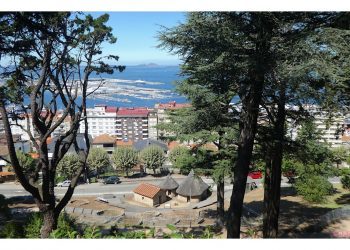 Pasado castreño de la ciudad de Vigo