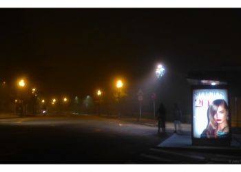 Secretos en la niebla