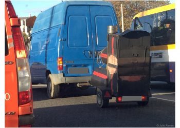 Castañero del siglo XXI