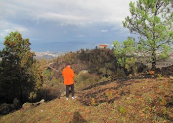 Convocada en Vigo una marcha «sin banderas ni colores» para pedir soluciones a los incendios