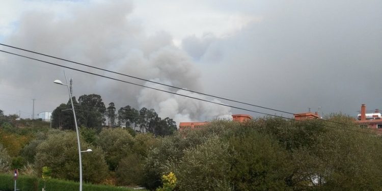 Salvaterra de Miño solicita a declaración de zona catastrófica e axudas para os afectados