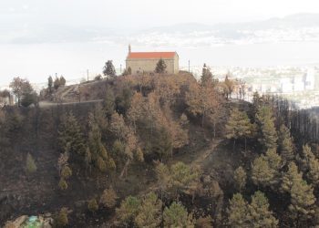 Así se aconsella actuar agora sobre as zonas queimadas