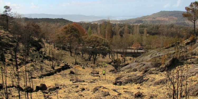 El PP insta a todas las administraciones a habilitar líneas de ayuda por los incendios