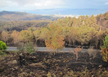 Los voluntarios ya pueden inscribirse para colaborar en recuperar los montes de Vigo