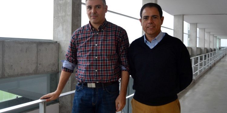 Investigadores vigueses usan o Real Madrid para estudar a relación entre o esforzo e a consecución de títulos