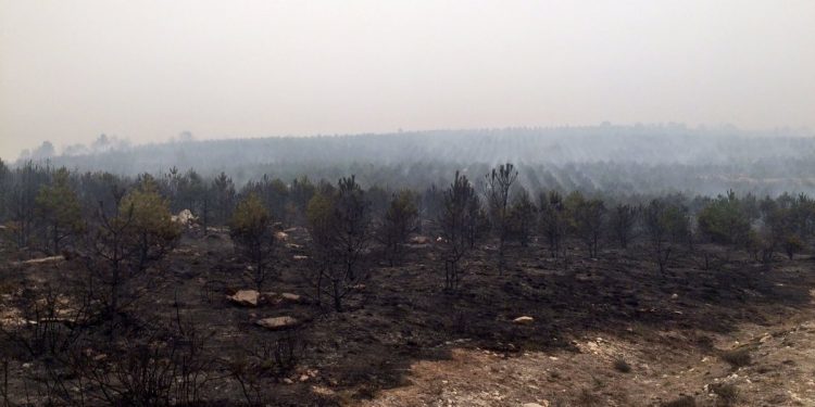 Detenido un vigués acusado de incendio por imprudencia en Ourense