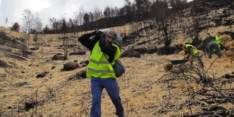 Comienzan los trabajos en los montes de Vigo