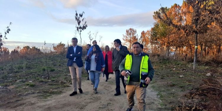 El PP de Vigo demanda una campaña de sensibilización ambiental sobre incendios