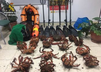 La Guardia Civil se incauta de una veintena de centollas en una furgoneta en Bueu