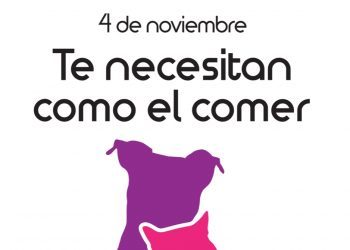 El Corte Inglés recoge pienso para mascotas para ayudar a cien protectoras de animales