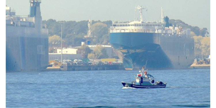 Entre gigantes