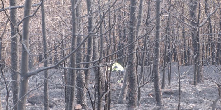 “Os lumes da provincia de Pontevedra son os máis perigosos para a vida humana”
