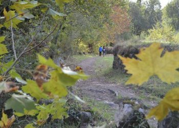 As rutas culturais da Universidade de Vigo continúan cun paseo polos ríos de Mondariz