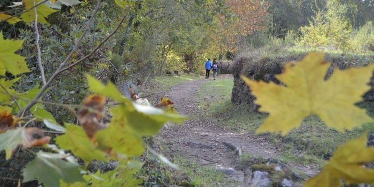 As rutas culturais da Universidade de Vigo continúan cun paseo polos ríos de Mondariz