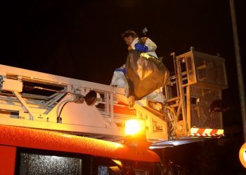 Fallece un vecino de O Porriño por picaduras de avispa velutina