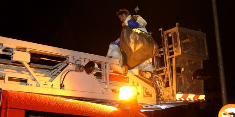 Fallece un vecino de O Porriño por picaduras de avispa velutina