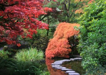 Captura de pantalla 2017 11 03 09
