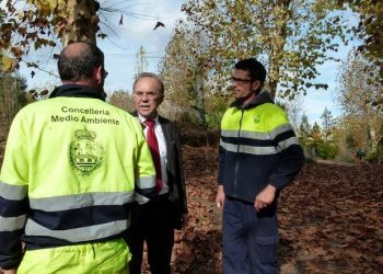 Ponteareas plantará en fincas municipais especies para as alfombra florais