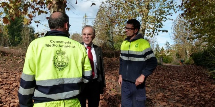 Ponteareas plantará en fincas municipais especies para as alfombra florais