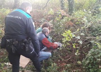 Hallan un tejón atrapado en un lazo ilegal junto a la Fortaleza de Goian