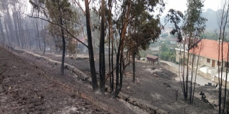 A Xunta remata os traballos para recuperar solos queimados nas Neves